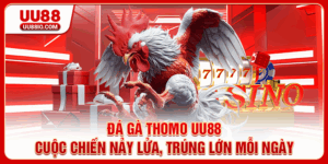 Đá gà thomo
